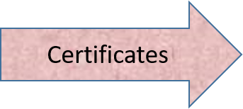 Image with text 'Certificates'