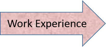 Image with text 'Work Experience'
